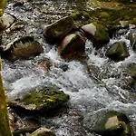 Glamping Avantura- A Natural Getaway By The Kolpa River شاليه