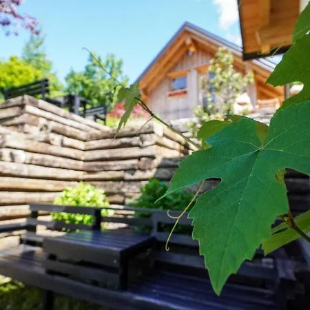 בקתה Glamping Avantura- Cabin For Two, Kolpa Valley Kostel