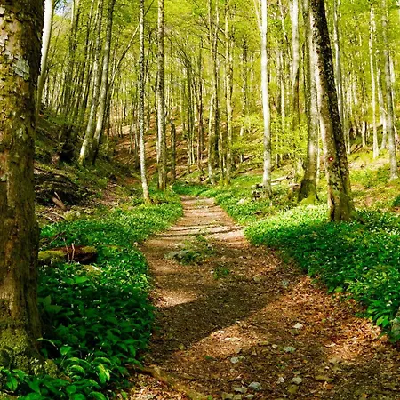 Alpehytte Glamping Avantura- A Natural Getaway By The Kolpa River *