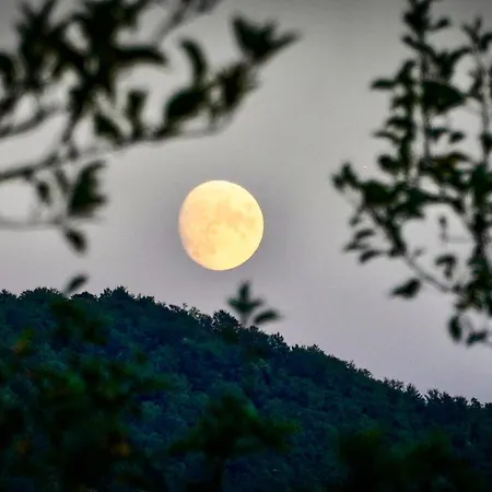 Glamping Avantura- A Natural Getaway By The Kolpa River