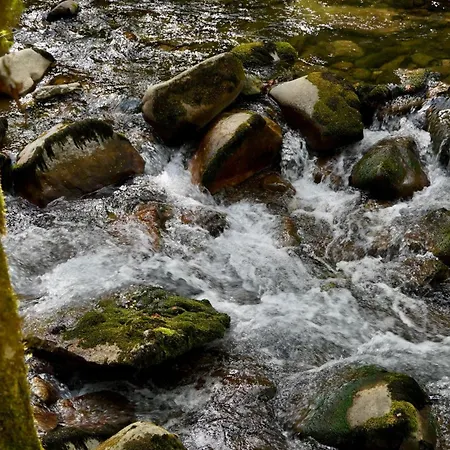 Glamping Avantura- A Natural Getaway By The Kolpa River Шале