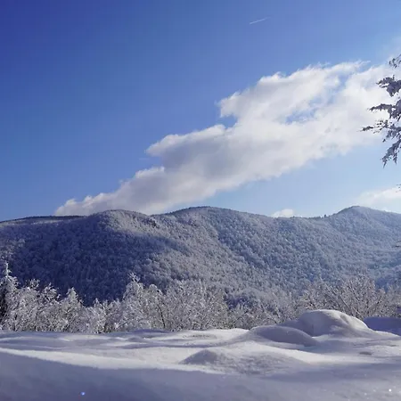 Glamping Avantura- A Natural Getaway By The Kolpa River *