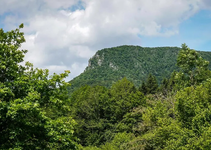 Glamping Avantura- A Natural Getaway By The Kolpa River * Kostel