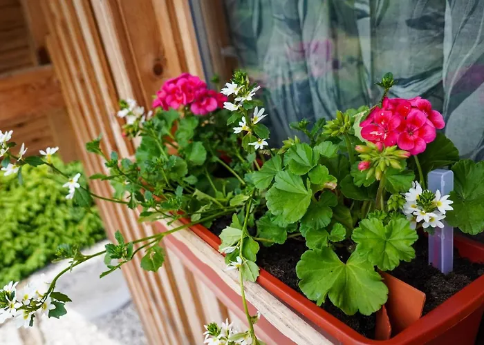 شاليه Glamping Avantura- A Natural Getaway By The Kolpa River Kostel