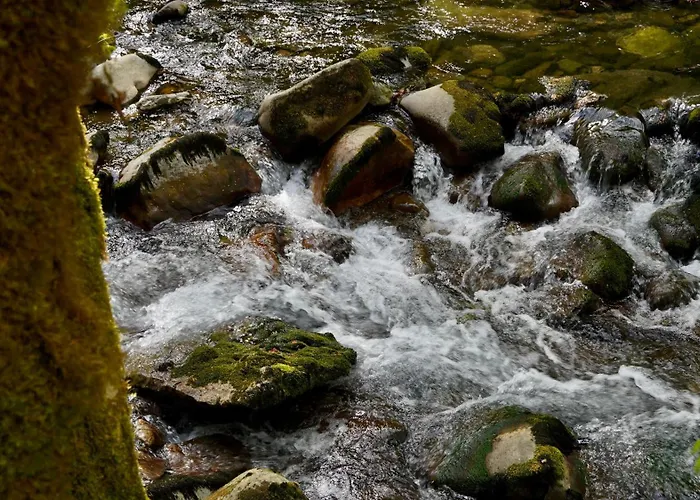 Glamping Avantura- A Natural Getaway By The Kolpa River Шале