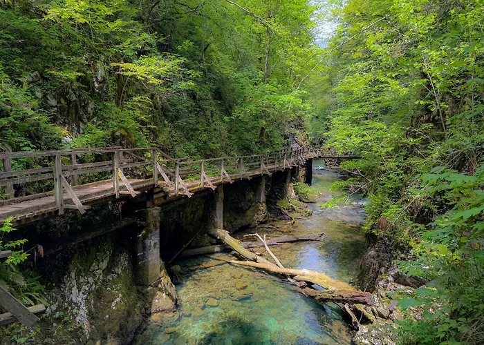 Glamping Avantura- A Natural Getaway By The Kolpa River