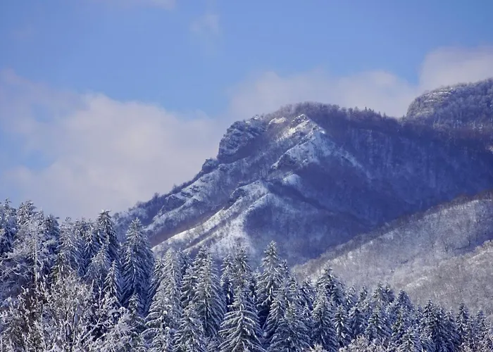 Шале Glamping Avantura- A Natural Getaway By The Kolpa River *