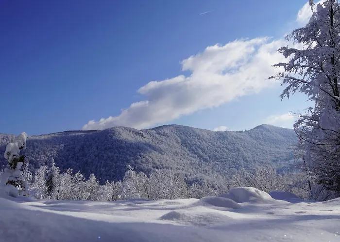 Glamping Avantura- A Natural Getaway By The Kolpa River *